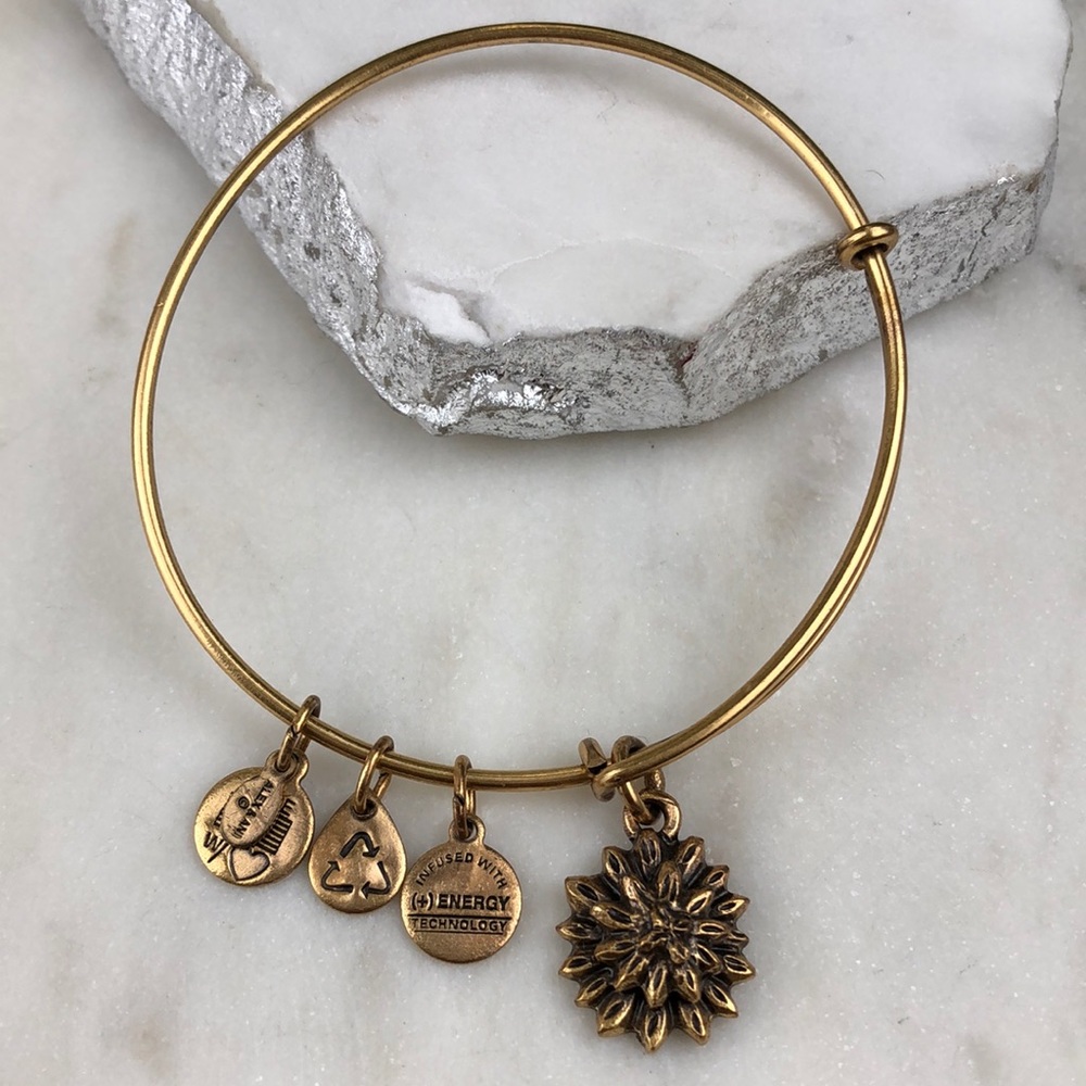 Alex And Ani Flower Charm Expandable Bangle Bracelet In Gold Tone Finish